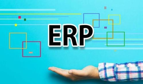 外贸出口商家ERP系统定制 深圳软件开发的力量与优势